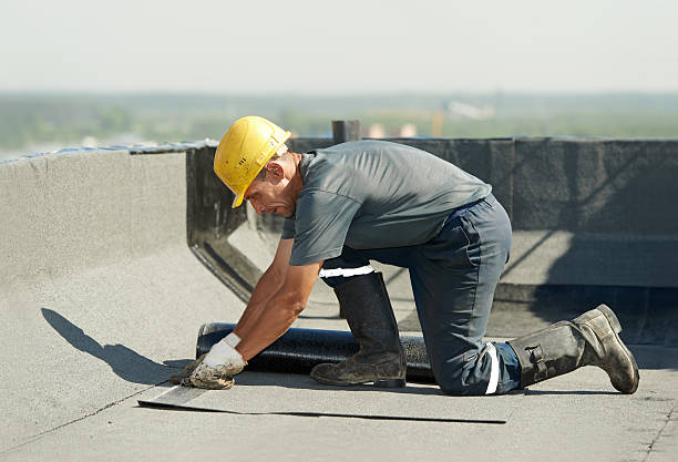 Best Insulation Maintenance and Repair in St James City, FL